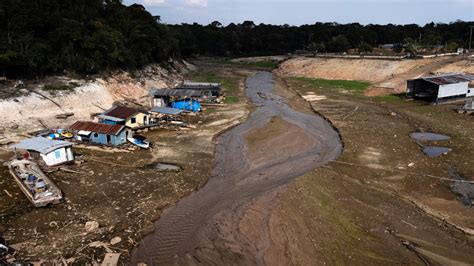 Sem água Não Tem Vida Seca Na Amazônia Brasileira Aumenta O Temor Pelo Futuro