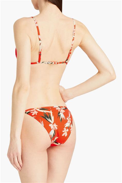 Solid Striped The Lulu Floral Print Low Rise Bikini Briefs Sale Up