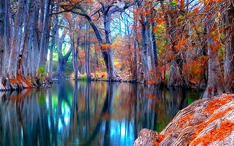 Nature Autumn Stream Backgrounds Wallpapers
