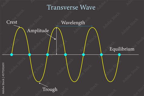 Transverse Wave Presentation Crest Trough Wavelength And Amplitude