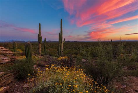 Sonoran Desert 2048×1387 Landscape Nature Sonoran Desert