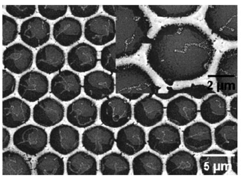 Materials Special Issue Advances In Bio Inspired Materials