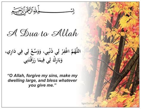 Pin on Shams of Tabrez & Rumi