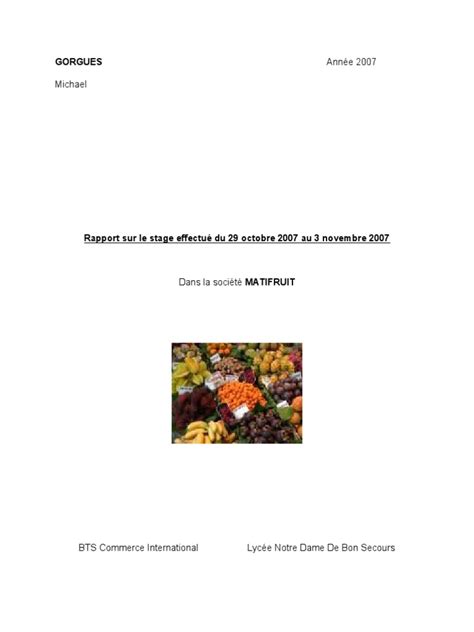 Rapport De Stage Bts Commerce International Pdf Investir Business