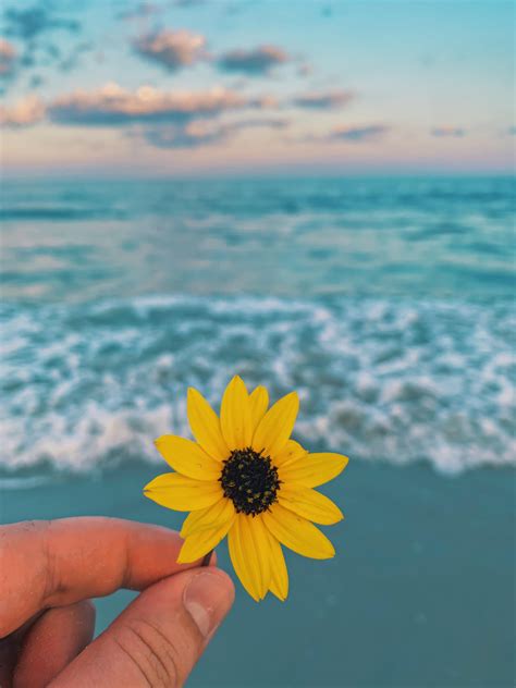 Hilton Head, SC : r/beach