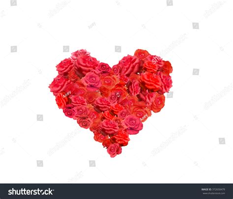 Red Roses Shaped In The Form Of Heart Many White Roses As A Floral
