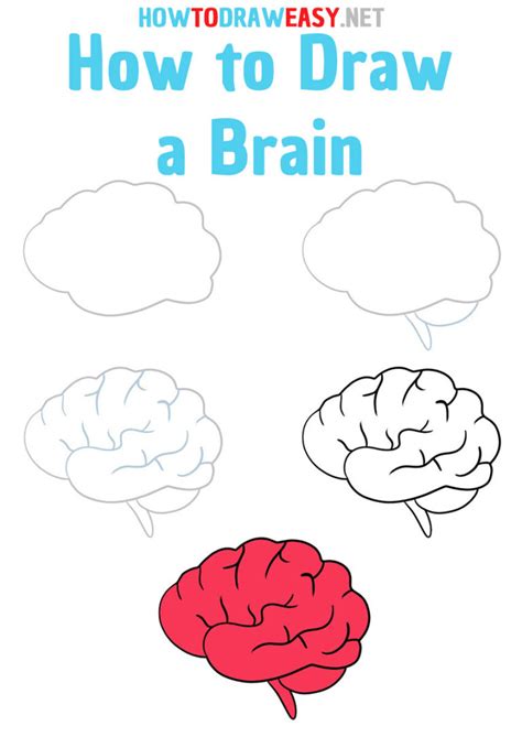 How To Draw A Brain Easy How To Draw Easy