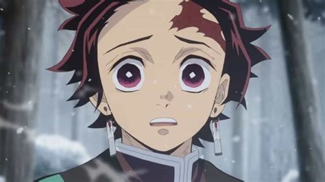 Who Does Tanjiro End Up With In Demon Slayer Otakukart