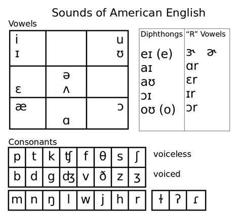 Lesson 6 Plosive Consonants P B T D K G American
