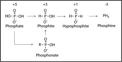 Redox Chemistry In The Phosphorus Biogeochemical Cycle Pnas