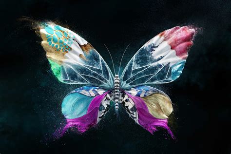 Turquoise Purple Butterfly Wallpapers Top Free Turquoise