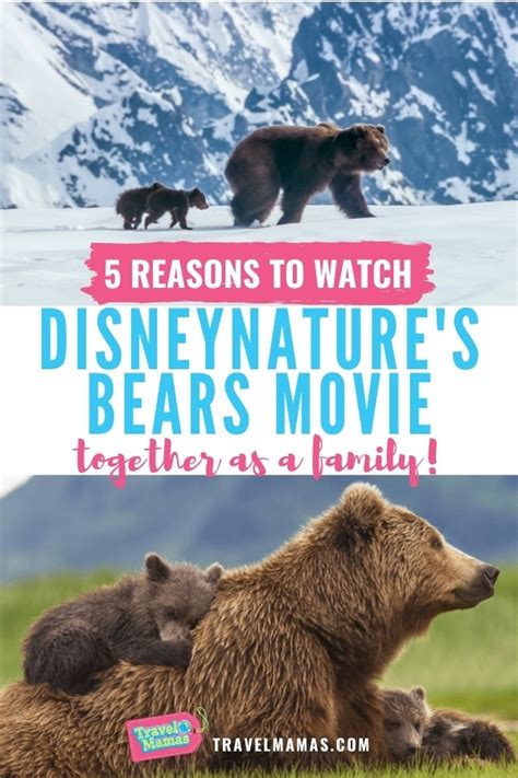 Find show times and purchase tickets for the new disney movies showing in a cinema near you, and buy the latest releases. Disney Bears Movie Review | 5 Reasons to Watch this Film ...