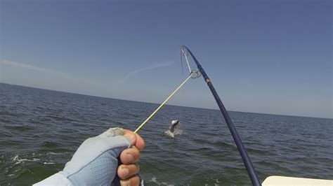 Saltwater Fly Fishing HD 720p - YouTube
