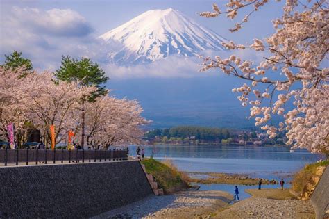 名站推薦 tips：2021年6月22日 已更新失效連結 total 13 ». 日本樱花图片风景(2)_伊卟图库