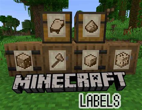Labels Mod Minecraft Mods