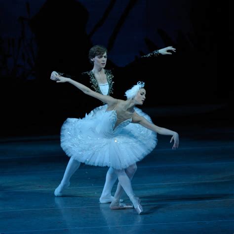 Mariinsky Ballet Swan Lake Washington Dancetabs