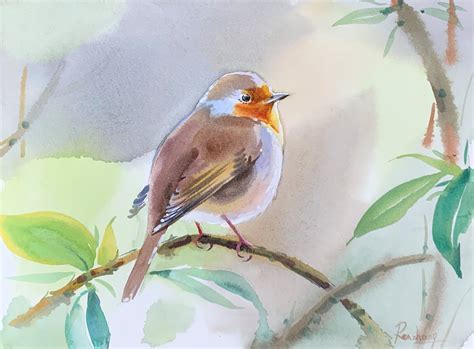 Original Art Robin Bird Watercolor Painting Wildlife Etsy