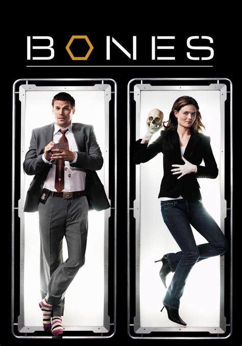 Bones Temporada 2 Ver Todos Los Episodios Online