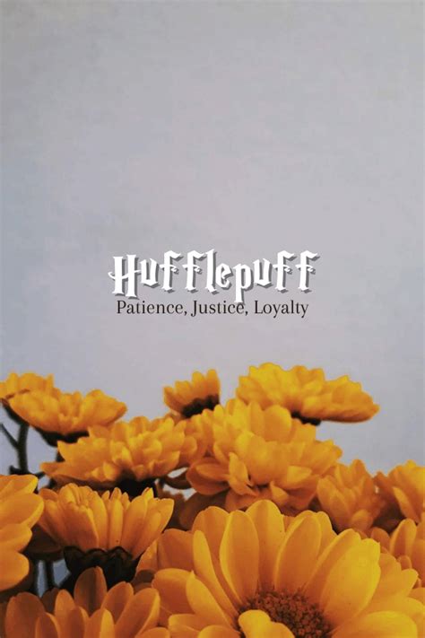 Bộ sưu tập Hufflepuff background aesthetic Sang trọng và đẳng cấp