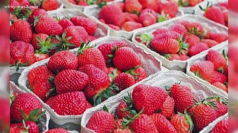 Healthy Ways To Eat Strawberries Gettycommerce