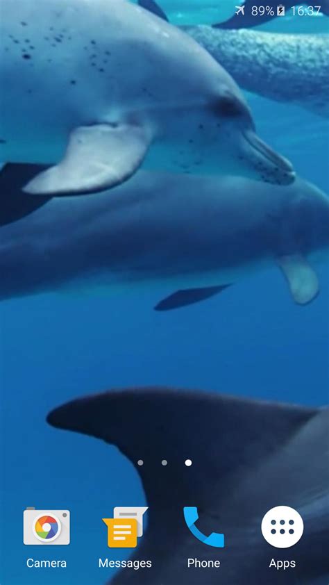 Dolphins Live Wallpaper Apk For Android Download