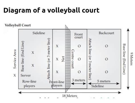 Draw A Neat And Clear Diagram Of Volleyball Court With Their