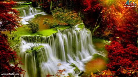 Nature Wallpaper Full Hd Gallery Nature Images Photo Free Download
