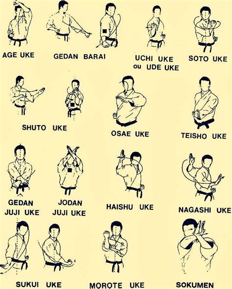 Judo Move Names Easy Learn Self Defense