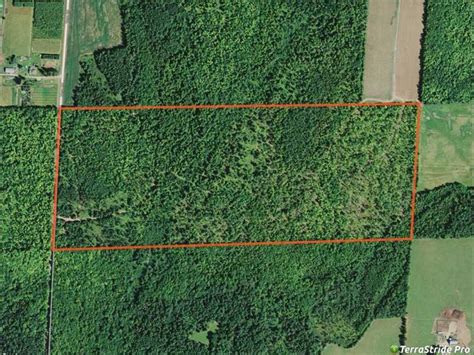 100 Acres Prime Hunting Land For Farm For Sale In Park Falls Price