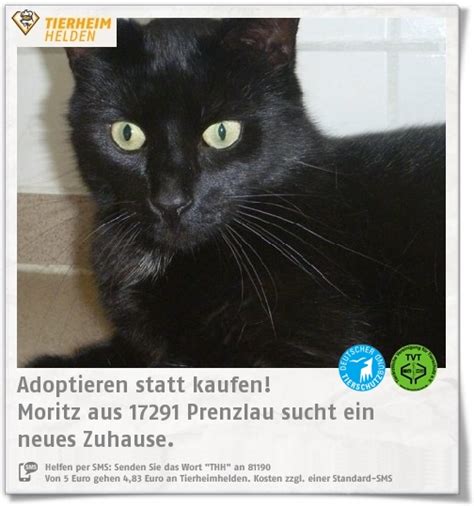 Sie suchen eine wohnung in prenzlau? Moritz gehört auch zu der Crew, die im Tierheim Prenzlau ...