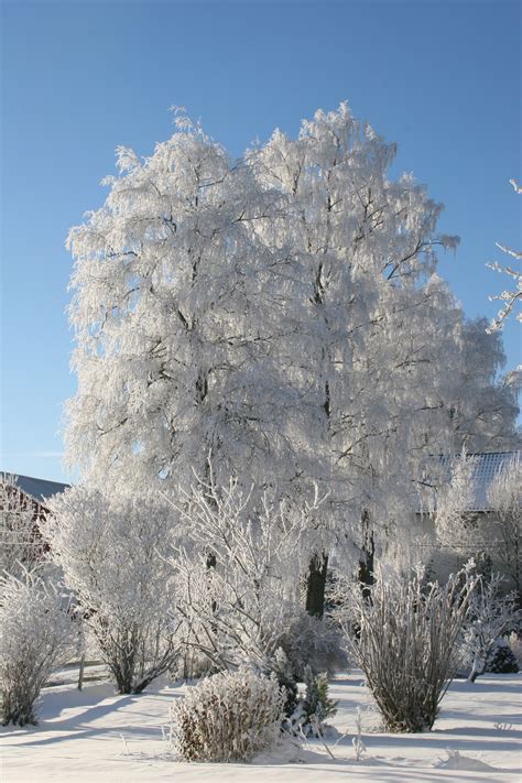 Filewinter In Norway Wikimedia Commons