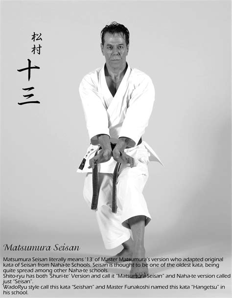 Shito Ryu Karate Shotokan Karate Teacher Name The Grandmaster Bjj