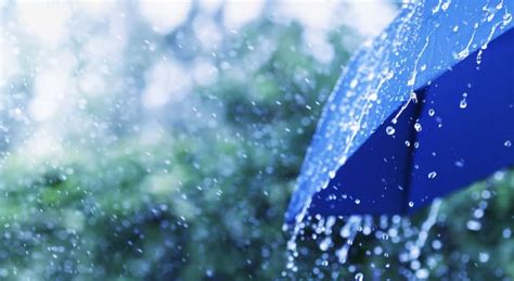 Vancouver Weather How Much Rain To Expect This Week Burnaby Now