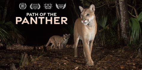Free Path Of The Panther Film Screening And Panel At First Magnitude