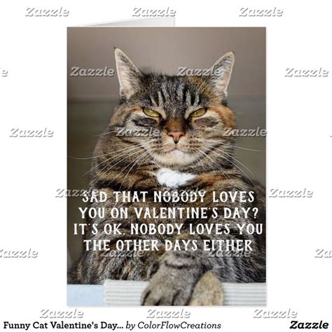 Funny Cat Valentines Day Meme Valentines Memes