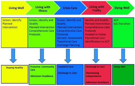 The National Health Group Nhg Blueprint Across The Care Continuum