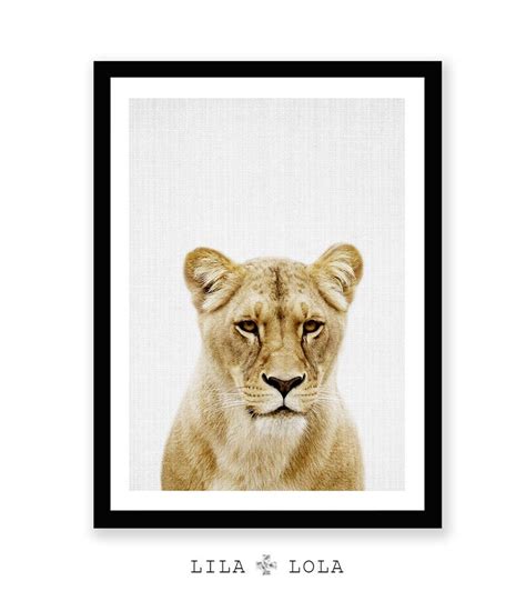 Lioness Print Lion Wall Art Safari Nursery Poster Colour Etsy
