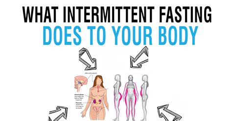 What Intermittent Fasting Does To Your Body Upgraded Health