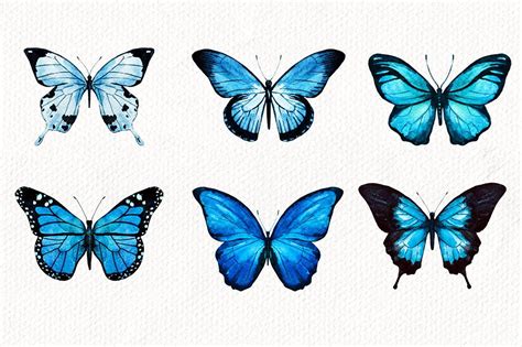 Watercolor Butterflies Butterfly Watercolor Blue Butterfly Tattoo