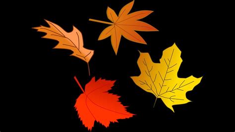 Animation Tutorial Falling Leaves Youtube