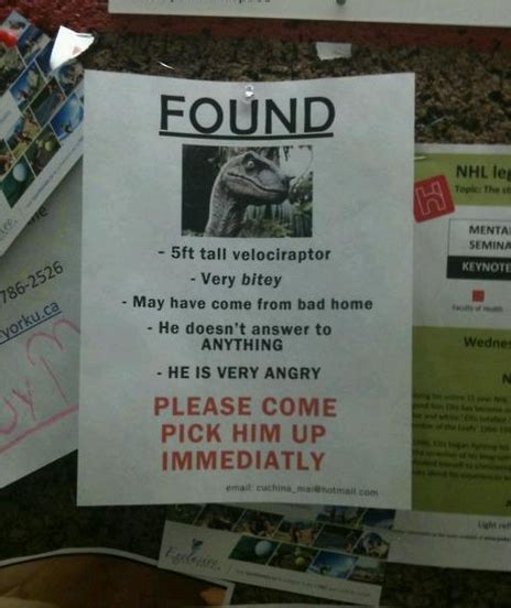 The 20 Funniest Lost And Found Signs Ever Gallery