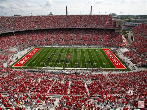 A computing professional analyzes a situation in an application domain, such as biology and computer and information science students can pursue either a bachelor of science or a bachelor of. Ohio State Downloads for Every Buckeyes Fan - Brand Thunder
