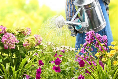 Water Your Way To Happy Plants Mh Landscapes