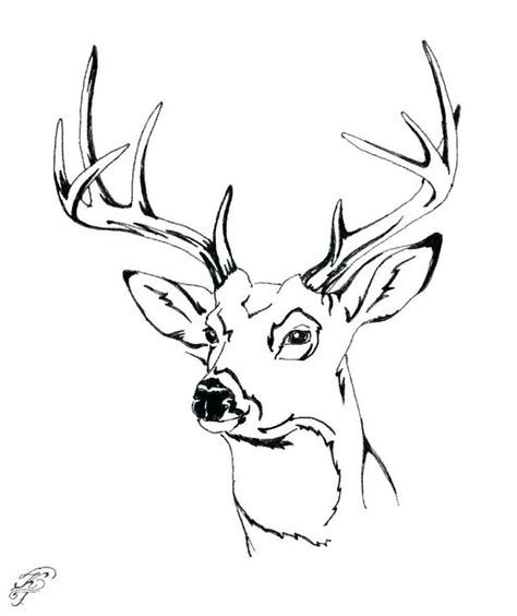 Try drive up, pick up, or same day delivery. Deer Coloring Pages For Your Lovely Kids | Deer coloring ...