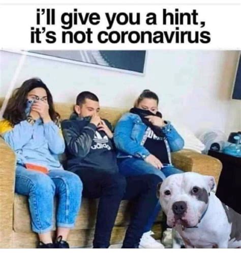 These Coronavirus Memes Capture Humor In Social Distancing Test Kits