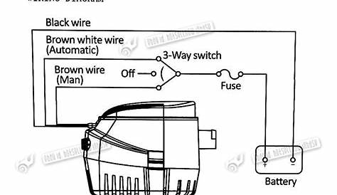 Rule Automatic Bilge Pump Wiring Diagram - Wiring Diagram