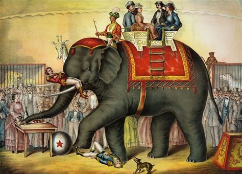Apa Jawaban GAJAH Terbang Nampak Apa yang Benar? Gajah Terbang