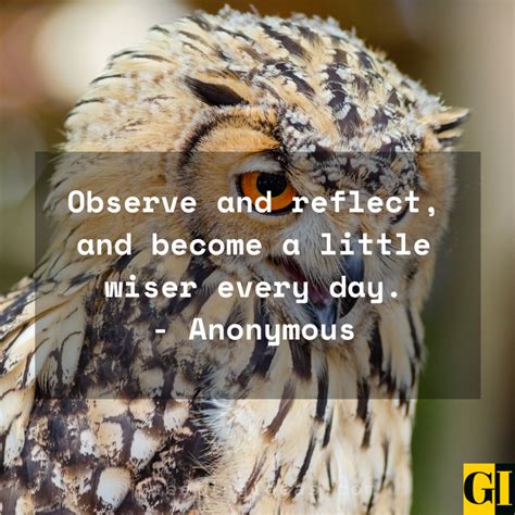 20 Wise Old Owl Quotes Sayings And Phrases