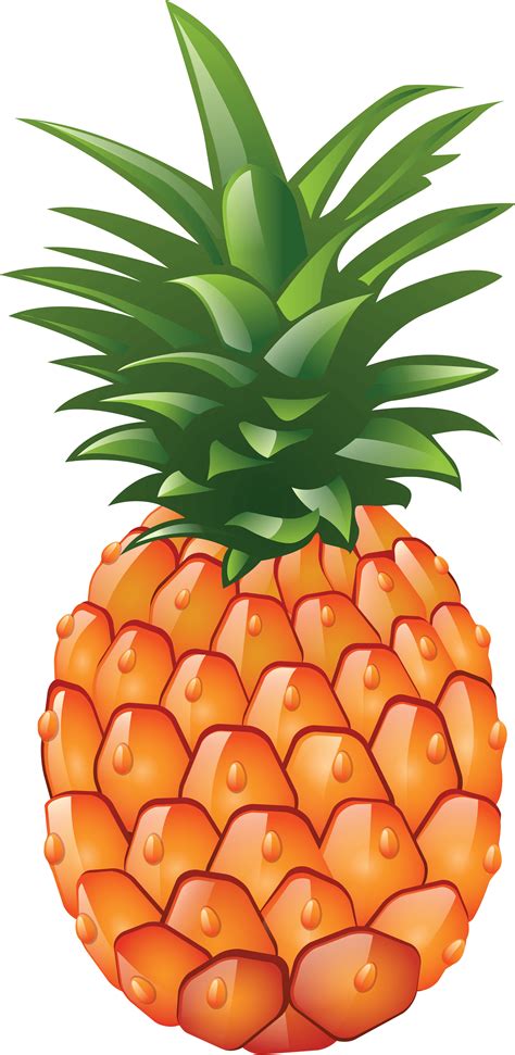 Pineapple Png Images Transparent Free Download Pngmart