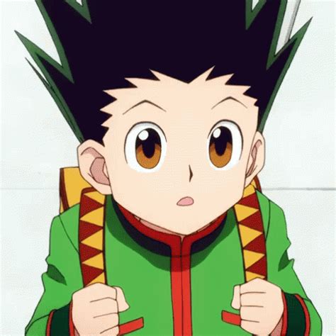 Its resolution is 1600px x 900px which can be used on your desktop tablet or mobile devices. Hx H Hunter XHunter GIF - HxH HunterXHunter Gon - Discover ...